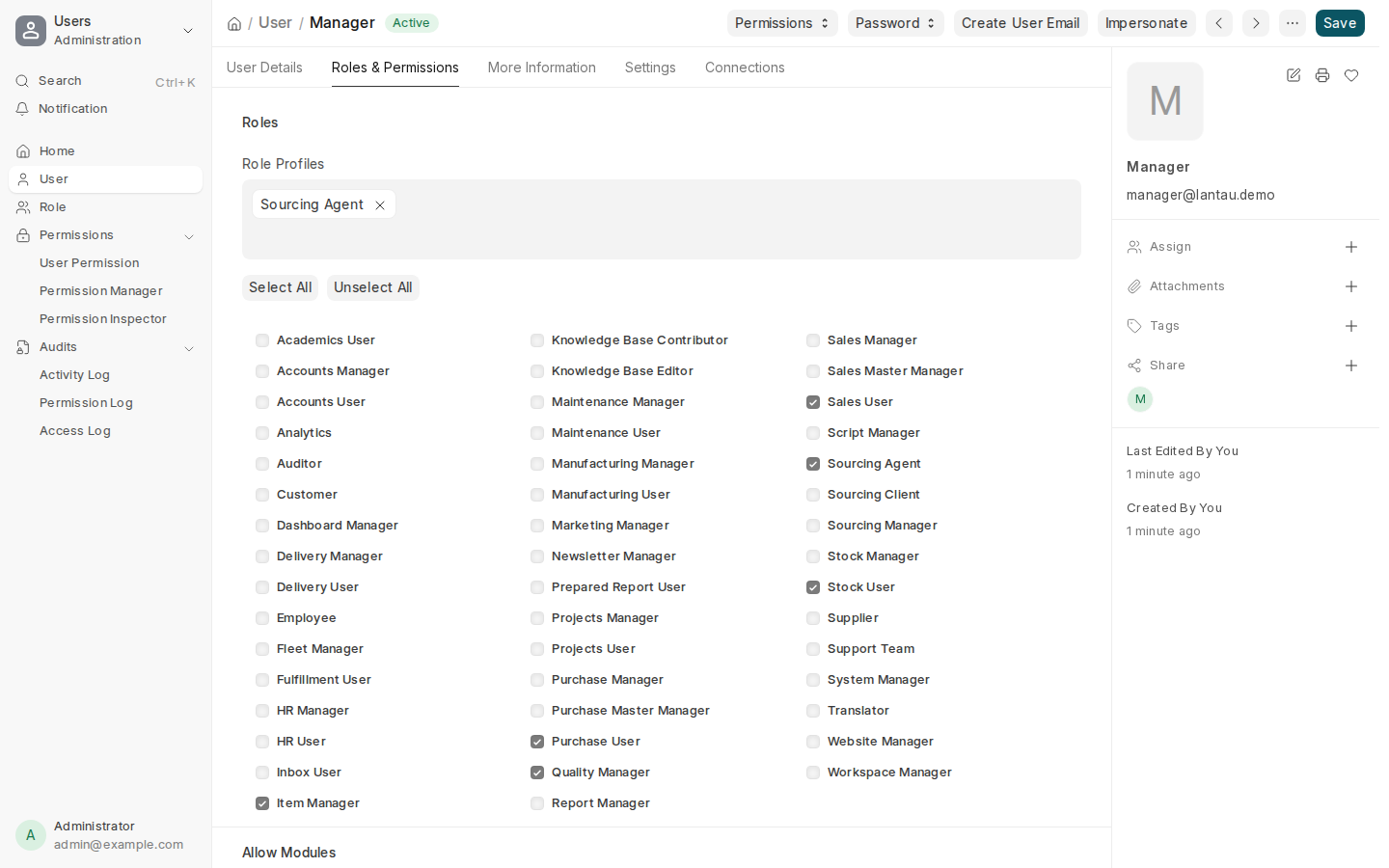Adding a team member: the email and the Role Profiles field
